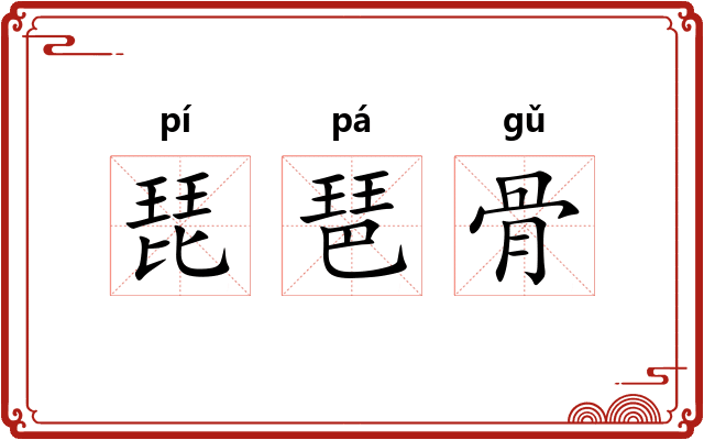 琵琶骨 琵琶骨