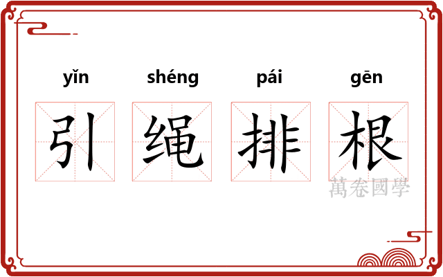 引绳排根