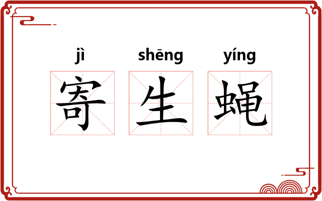 寄生蝇