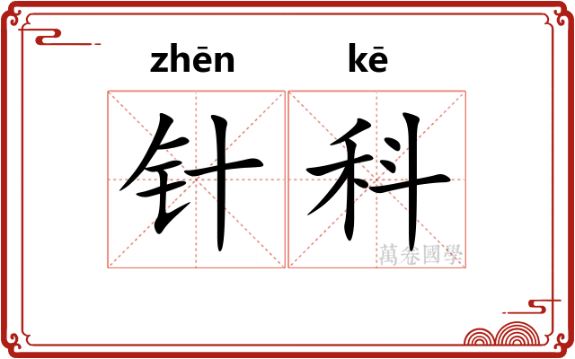针科