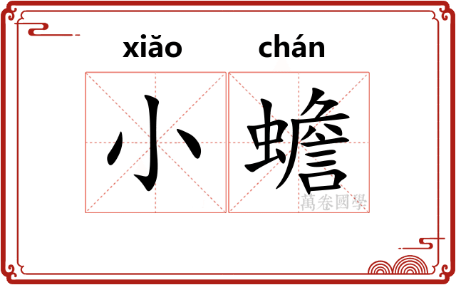 小蟾