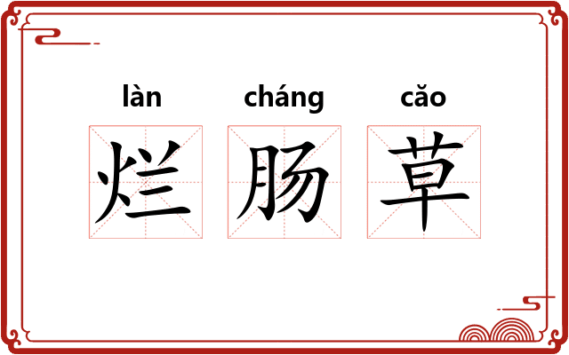 烂肠草