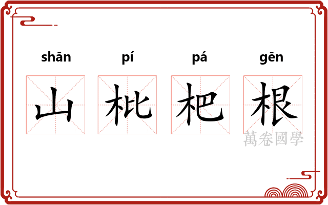 山枇杷根