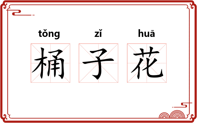 桶子花