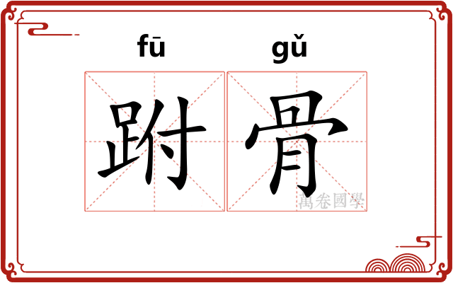 跗骨 跗骨