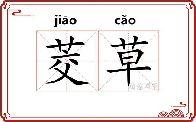 茭草 茭草