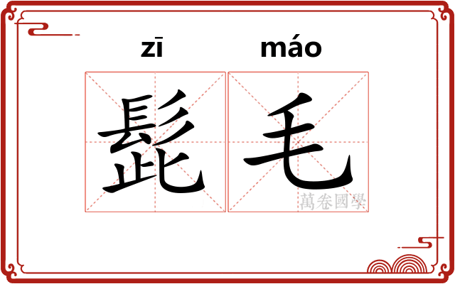 髭毛