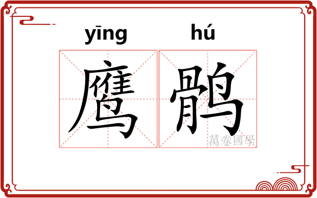 鹰鹘
