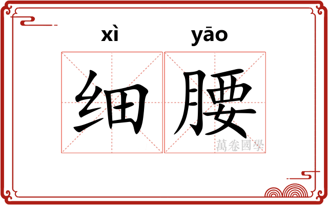 细腰 细腰