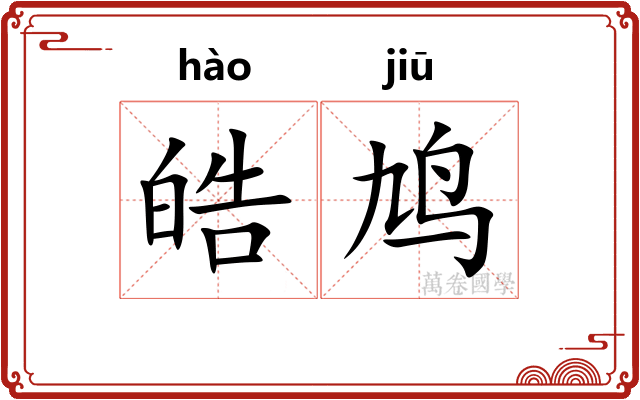 皓鸠