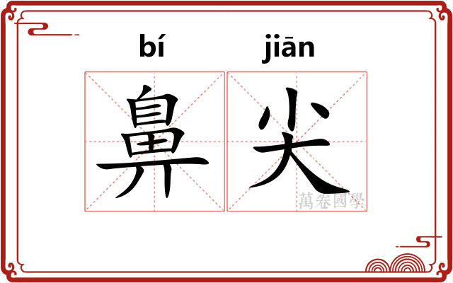 鼻尖