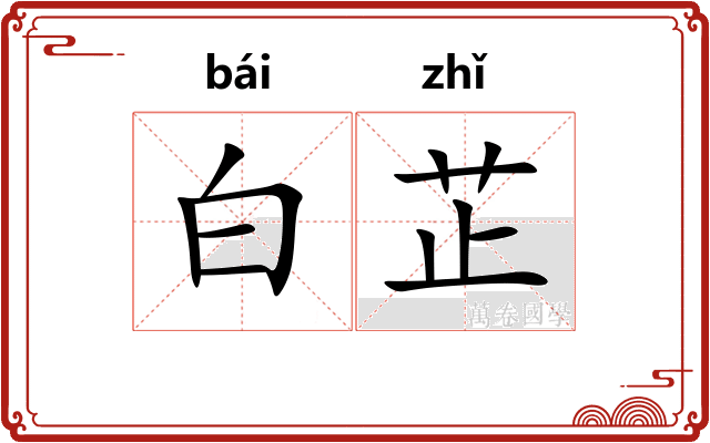 白芷