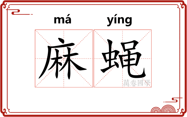麻蝇