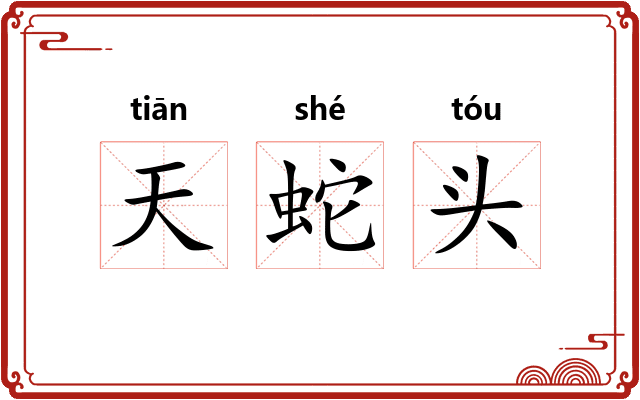 天蛇头 天蛇头