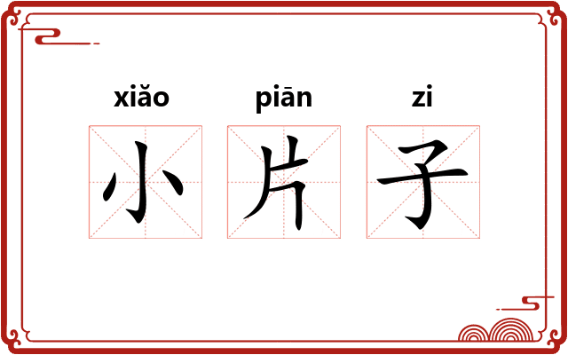 小片子