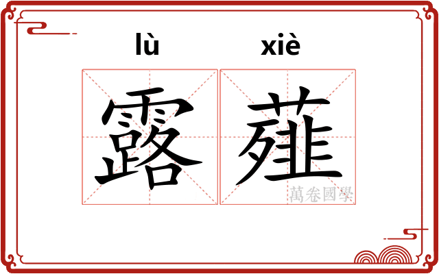 露薤