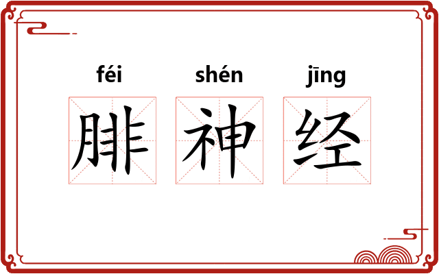 腓神经