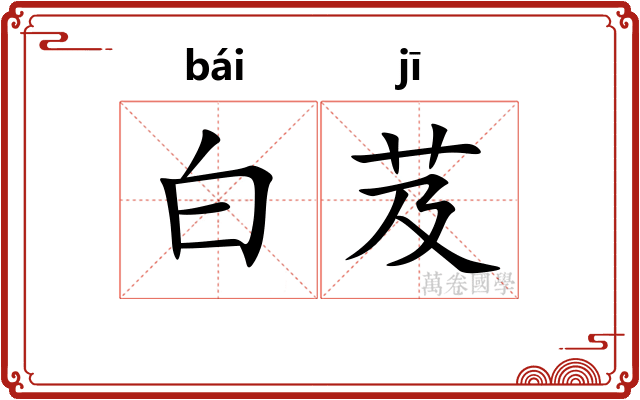 白芨 白芨