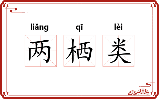 两栖类 两栖类