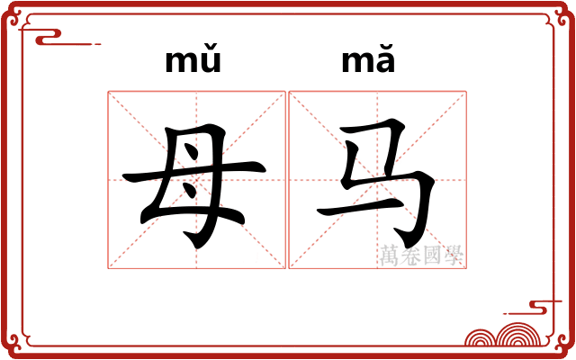 母马