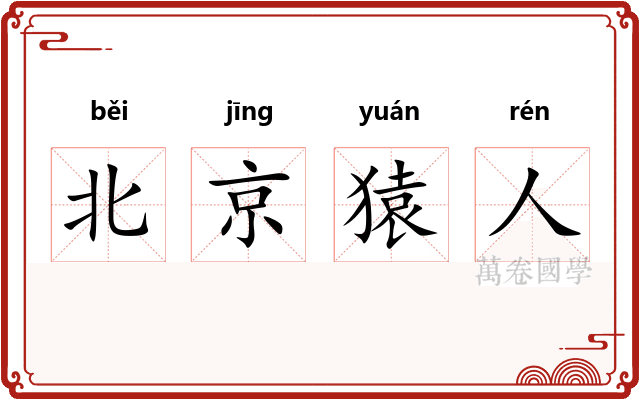 北京猿人