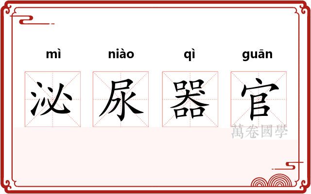 泌尿器官