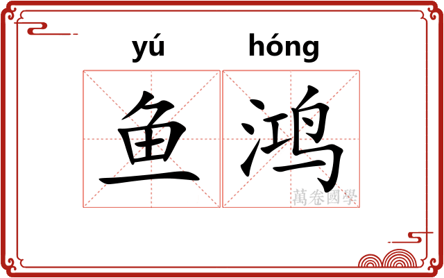 鱼鸿
