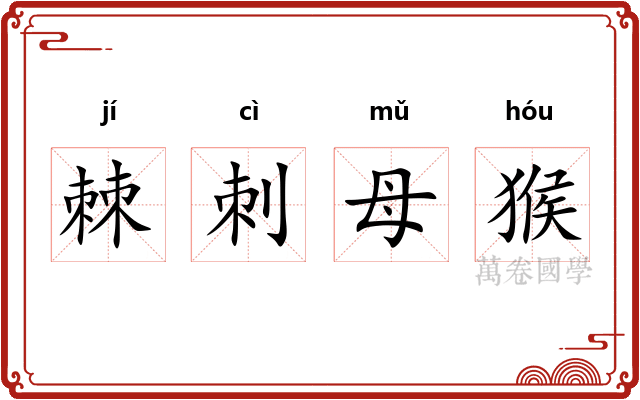 棘刺母猴
