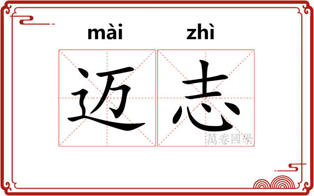 迈志