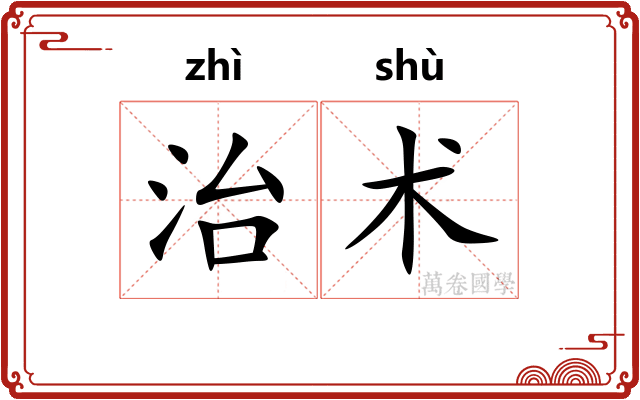 治术 治术