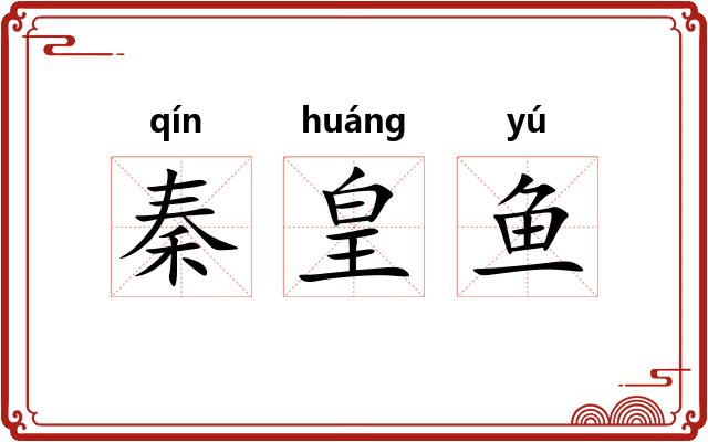 秦皇鱼 秦皇鱼
