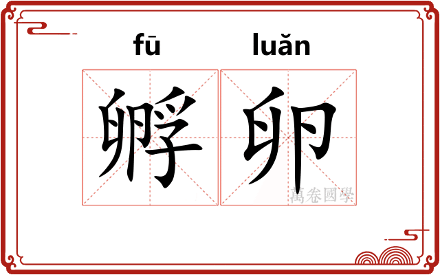 孵卵