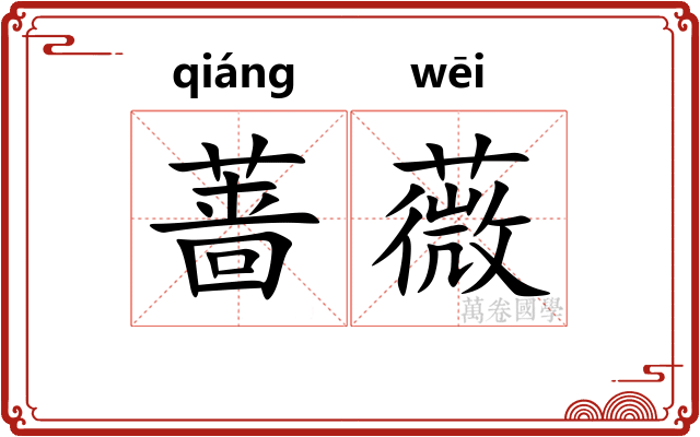 蔷薇