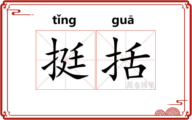 挺括
