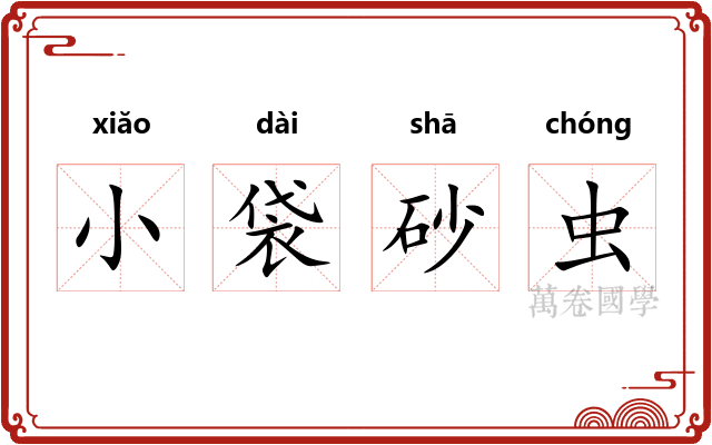 小袋砂虫