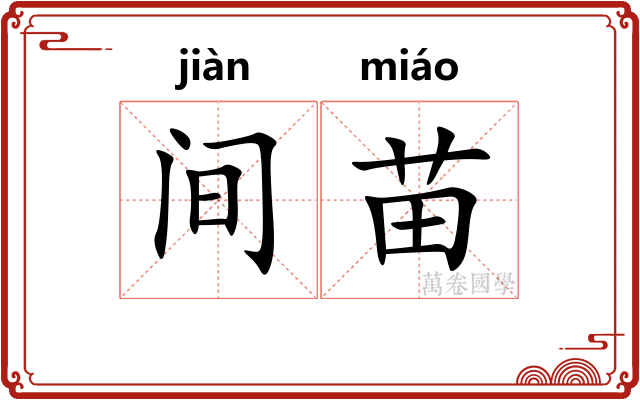 间苗