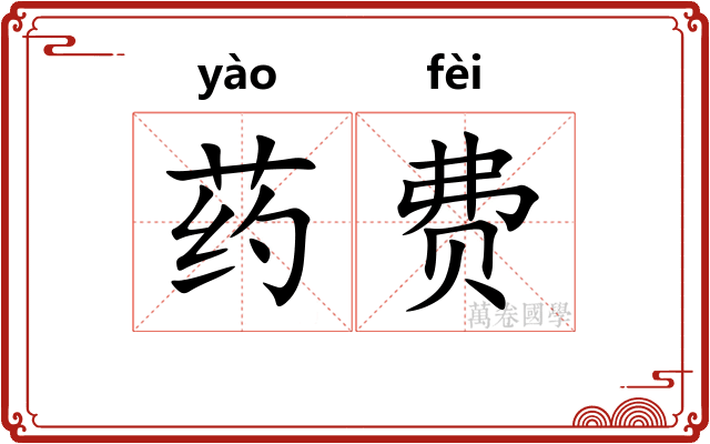 药费