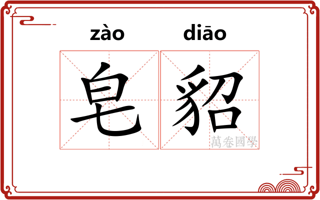 皂貂
