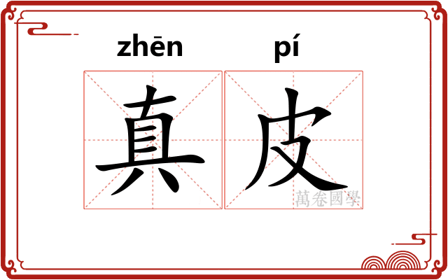 真皮