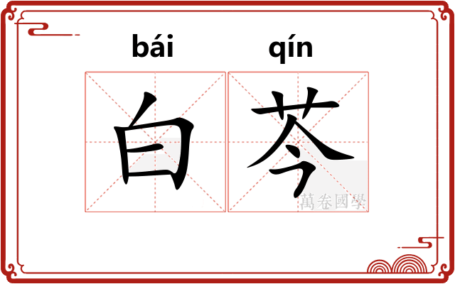 白芩
