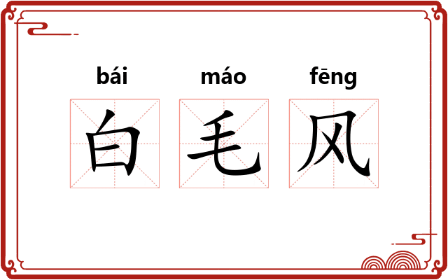 白毛风 白毛风