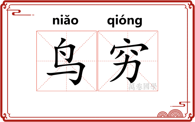 鸟穷
