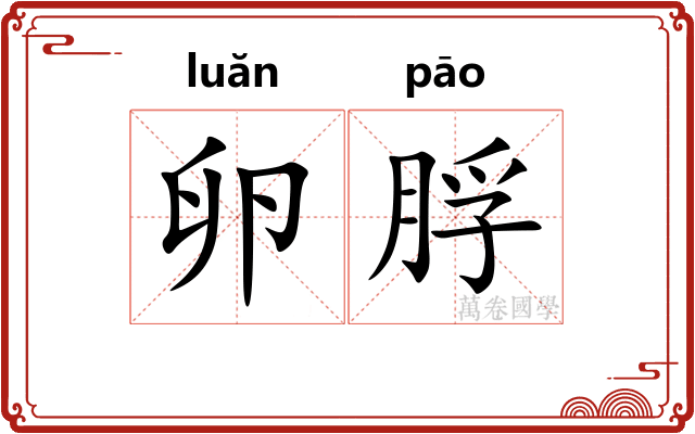 卵脬