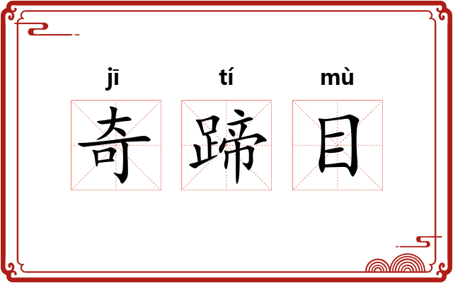 奇蹄目