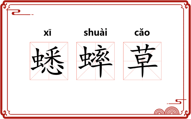 蟋蟀草 蟋蟀草