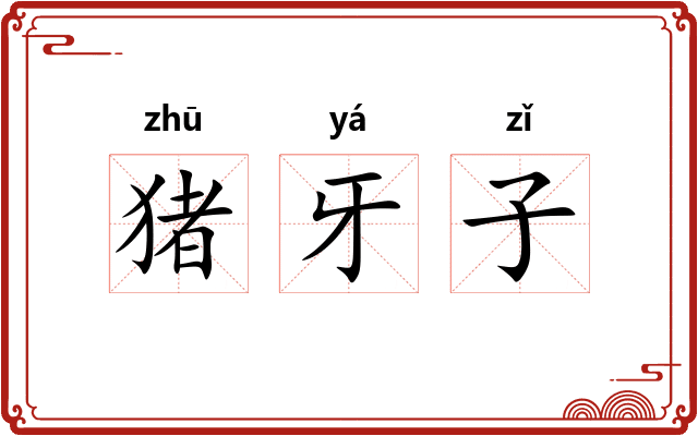 猪牙子