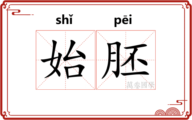 始胚