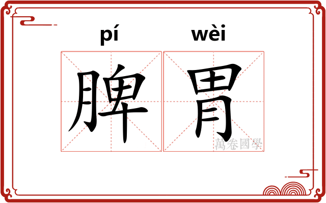 脾胃