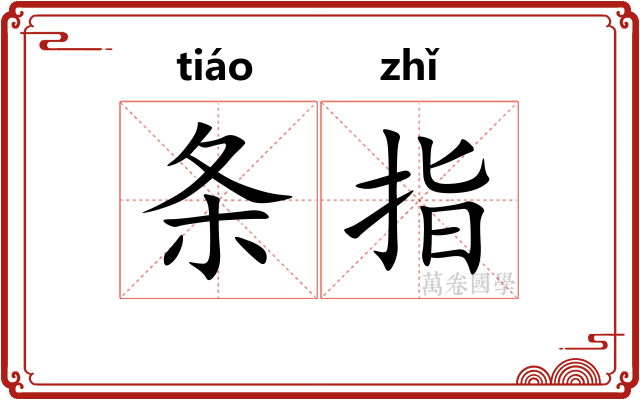 条指