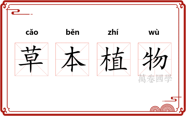 草本植物